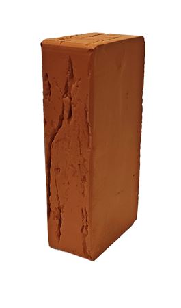   1NF Красный Старый дуб